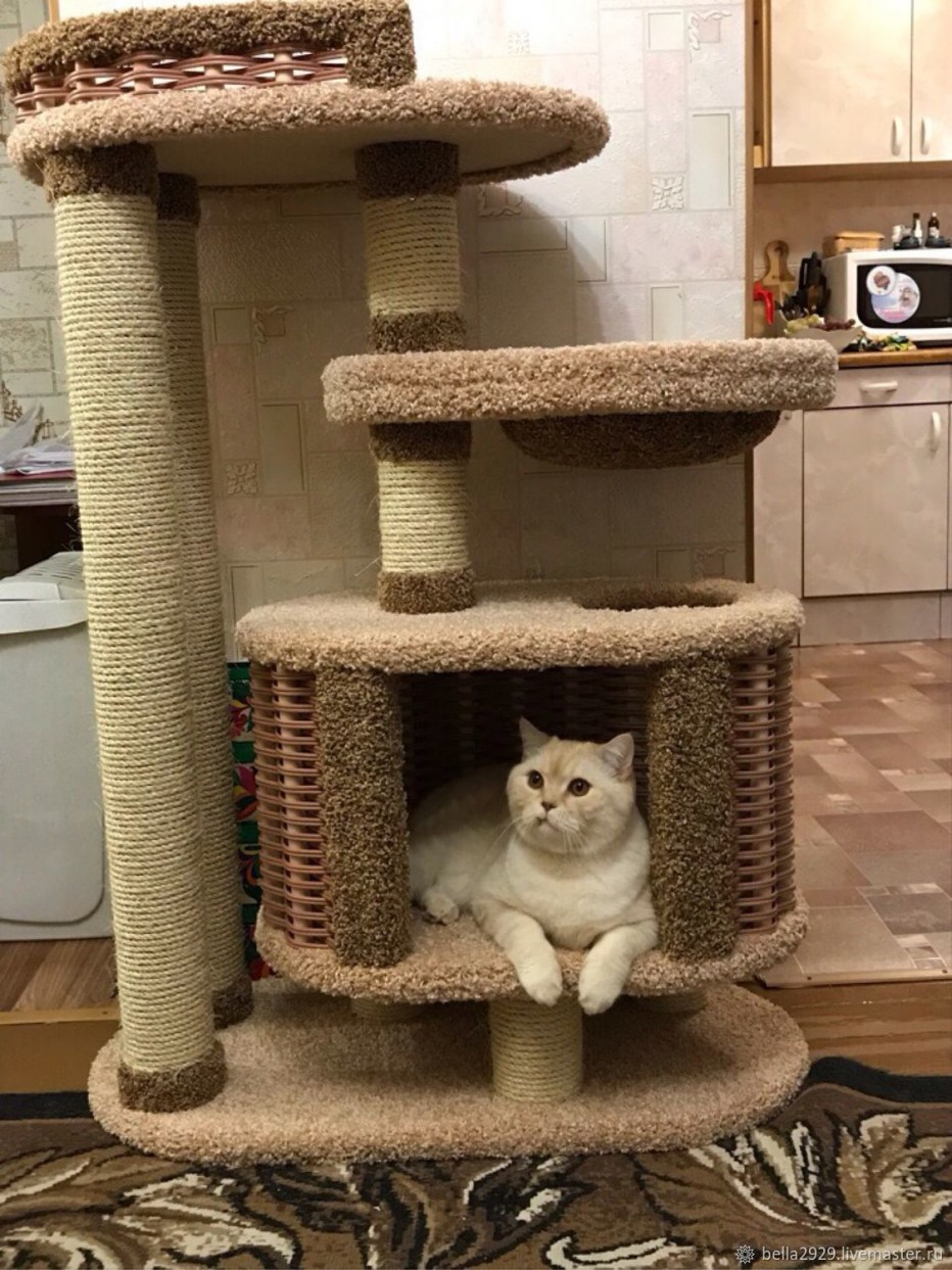 Красивые когтеточки для кошек