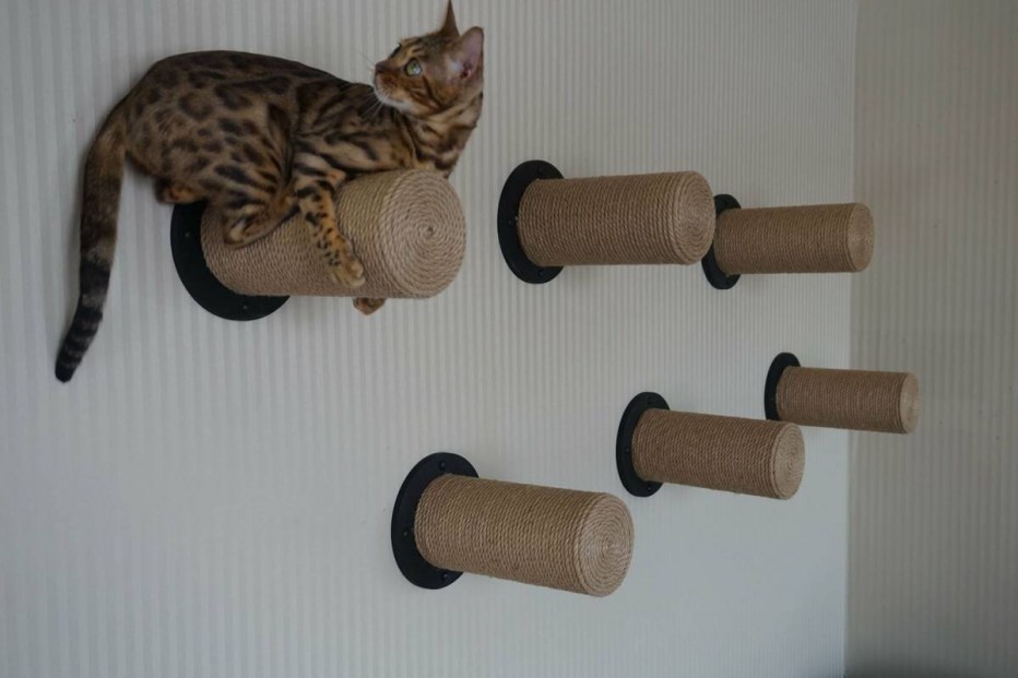 Настенные когтеточки для кошек