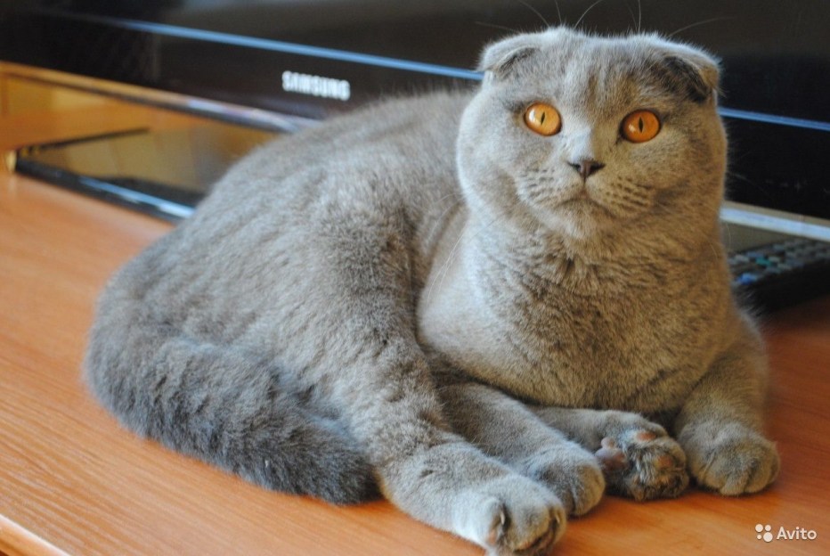Фолд 3