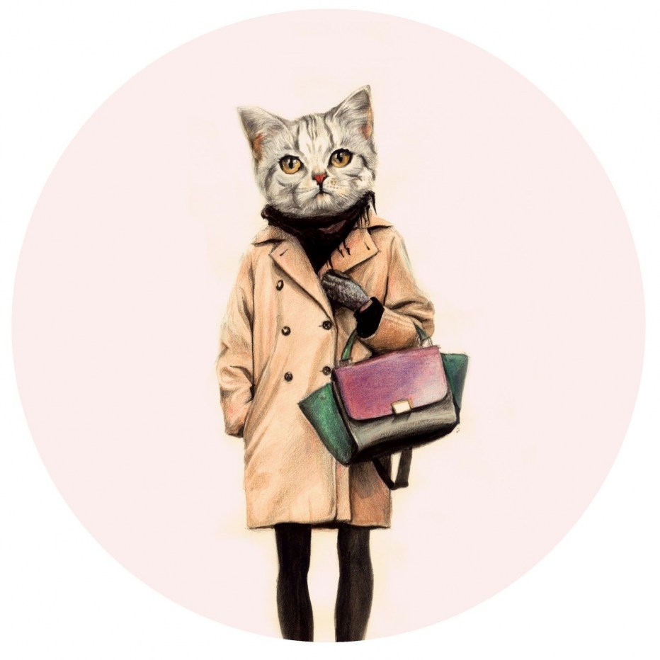Котейки в очках