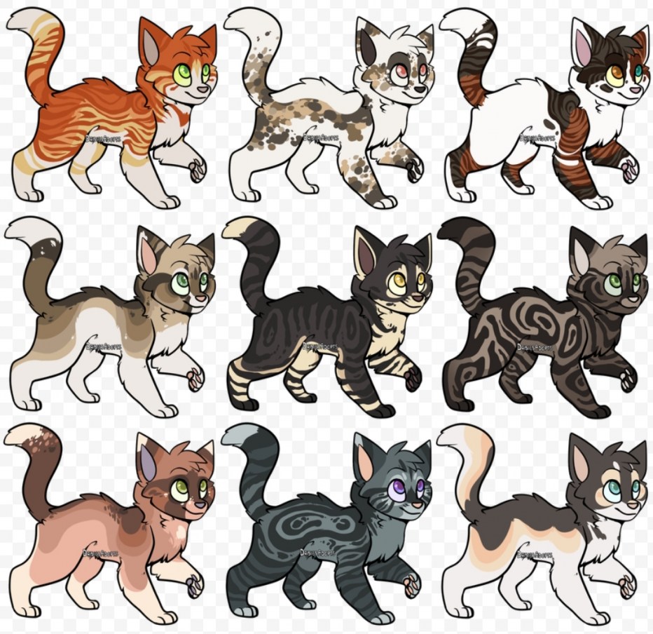 Коты Воители окрасы