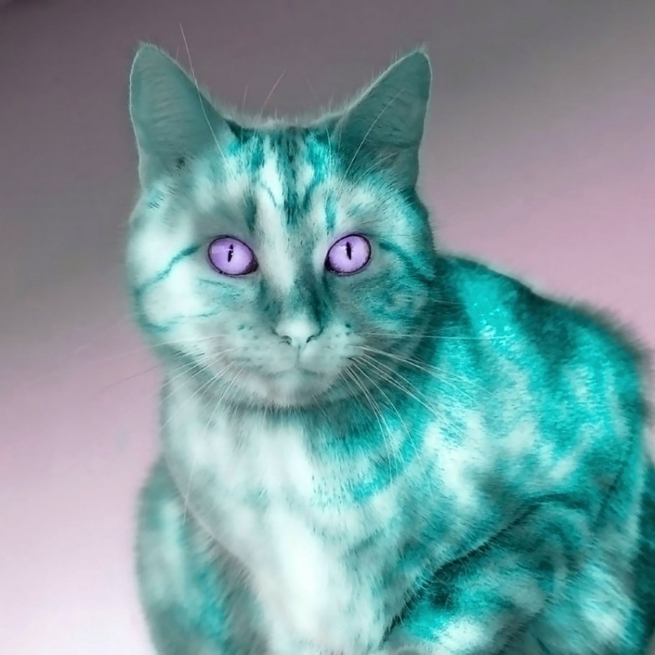 Коты разноцветные окрас