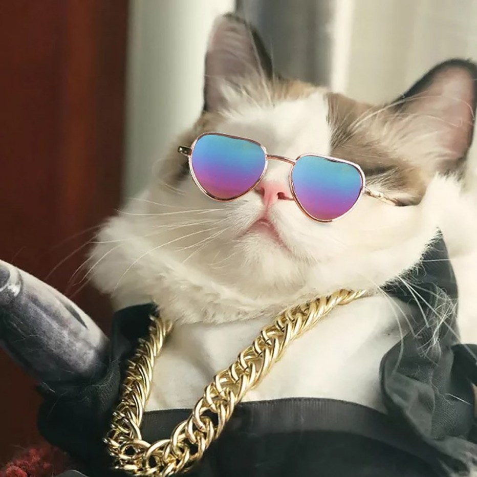 Крутые котята