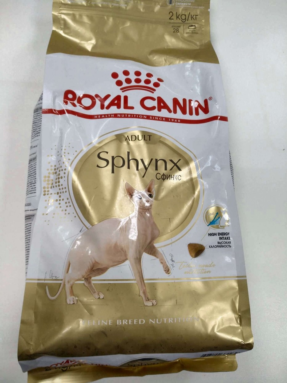 Royal Canin Sphynx
