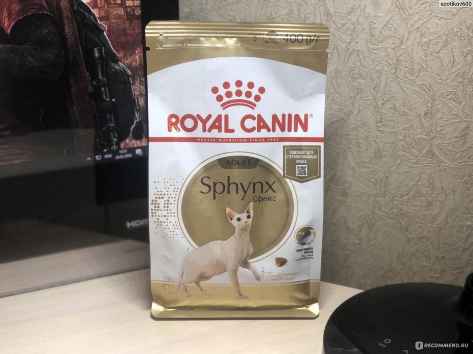 Royal Canin Kitten для сфинксов