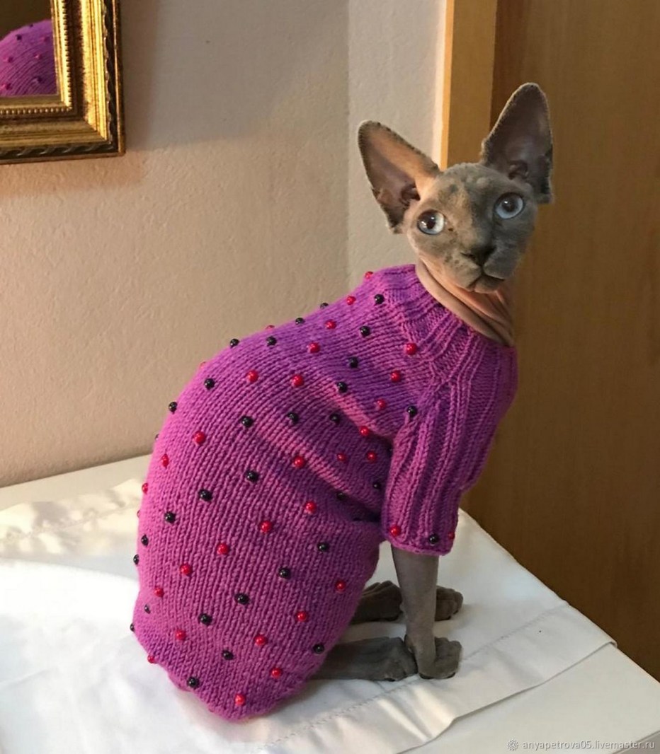 Вязаная одежда для кошек