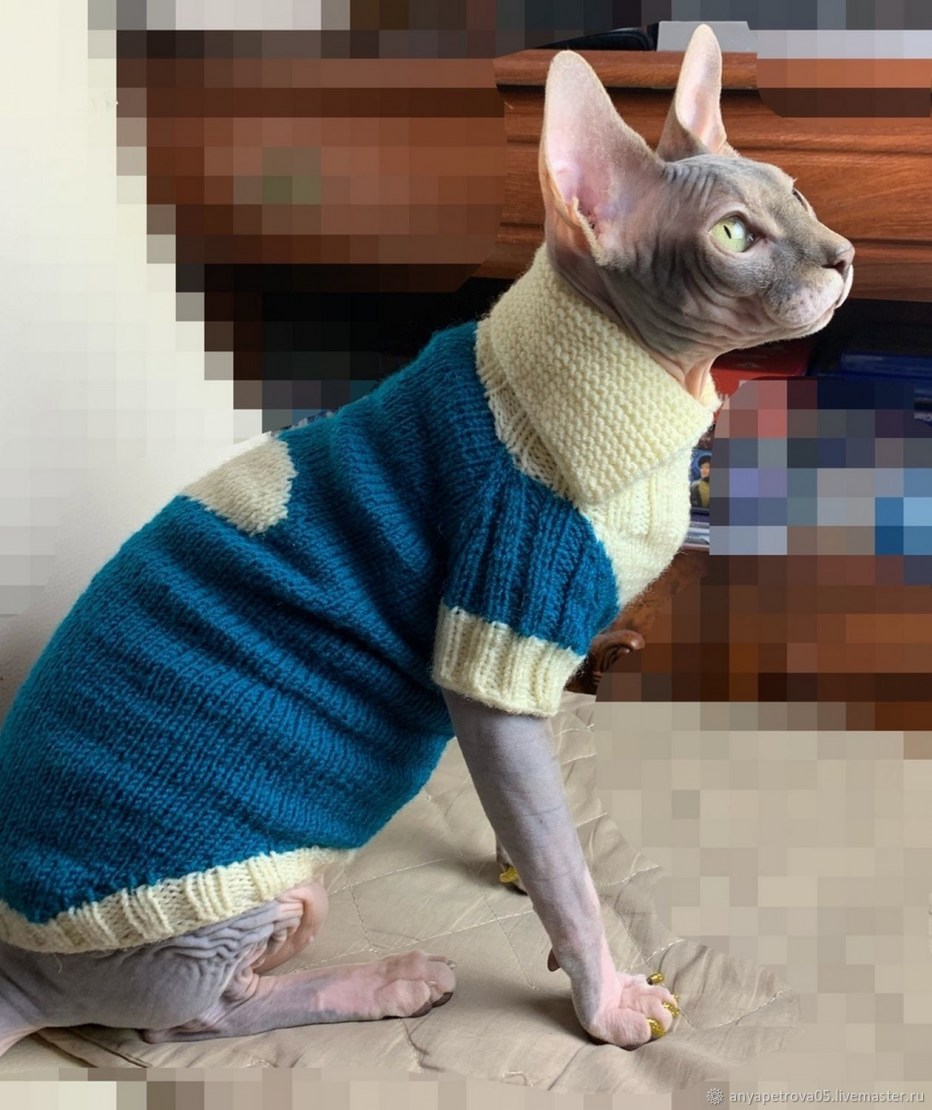 Кот в вязаной одежде