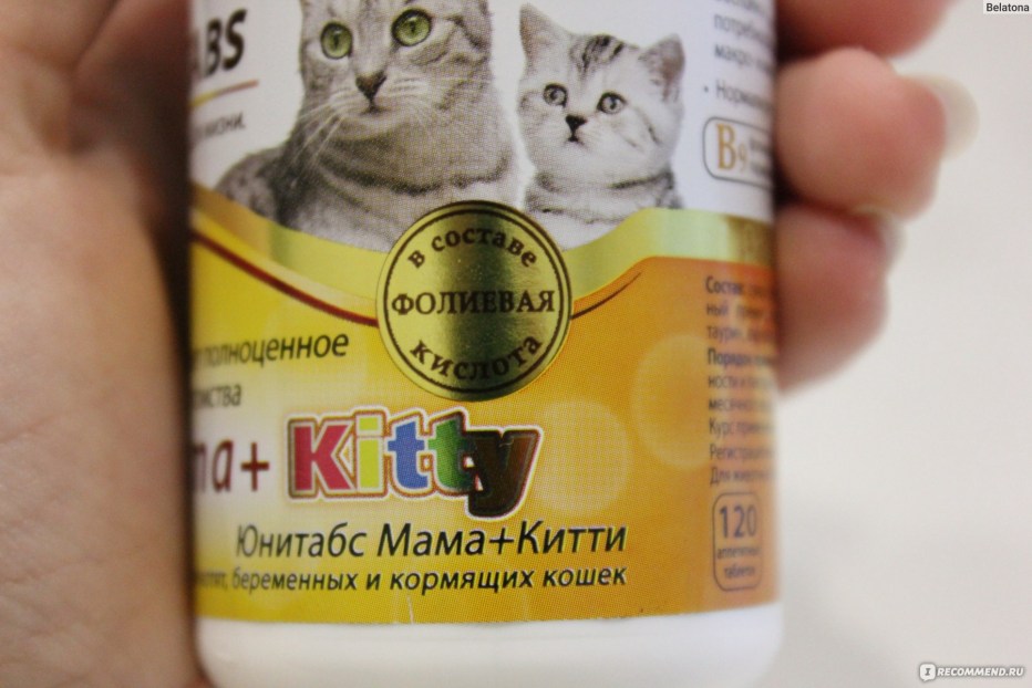 Добавка в корм Beaphar Top 10 Multi Vitamin для кошек