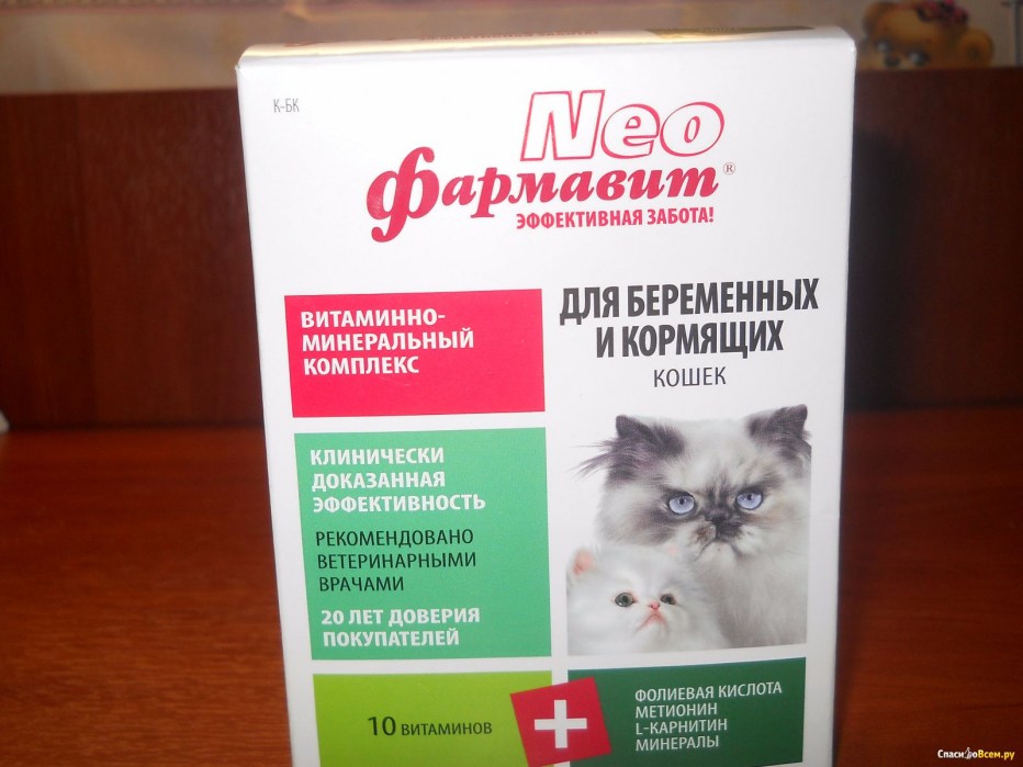 Витамины для беременности кошек