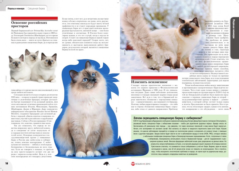 Невская маскарадная кошка стандарт породы