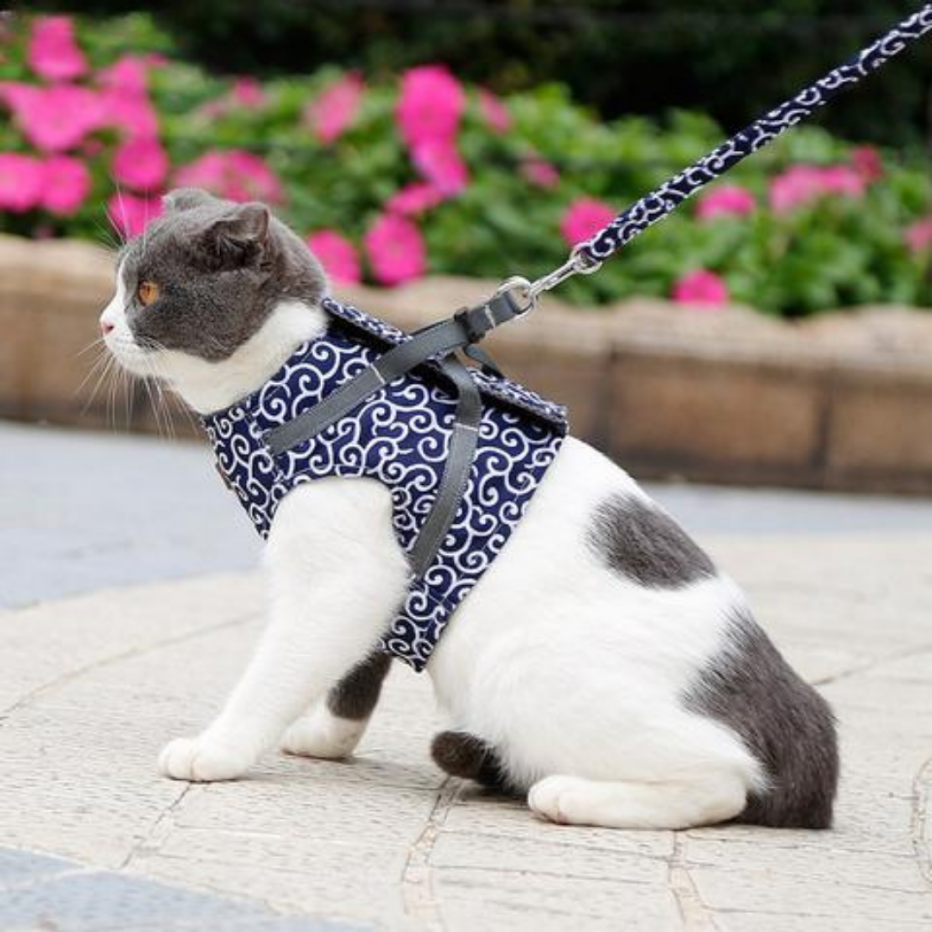 Шлейка для кошки