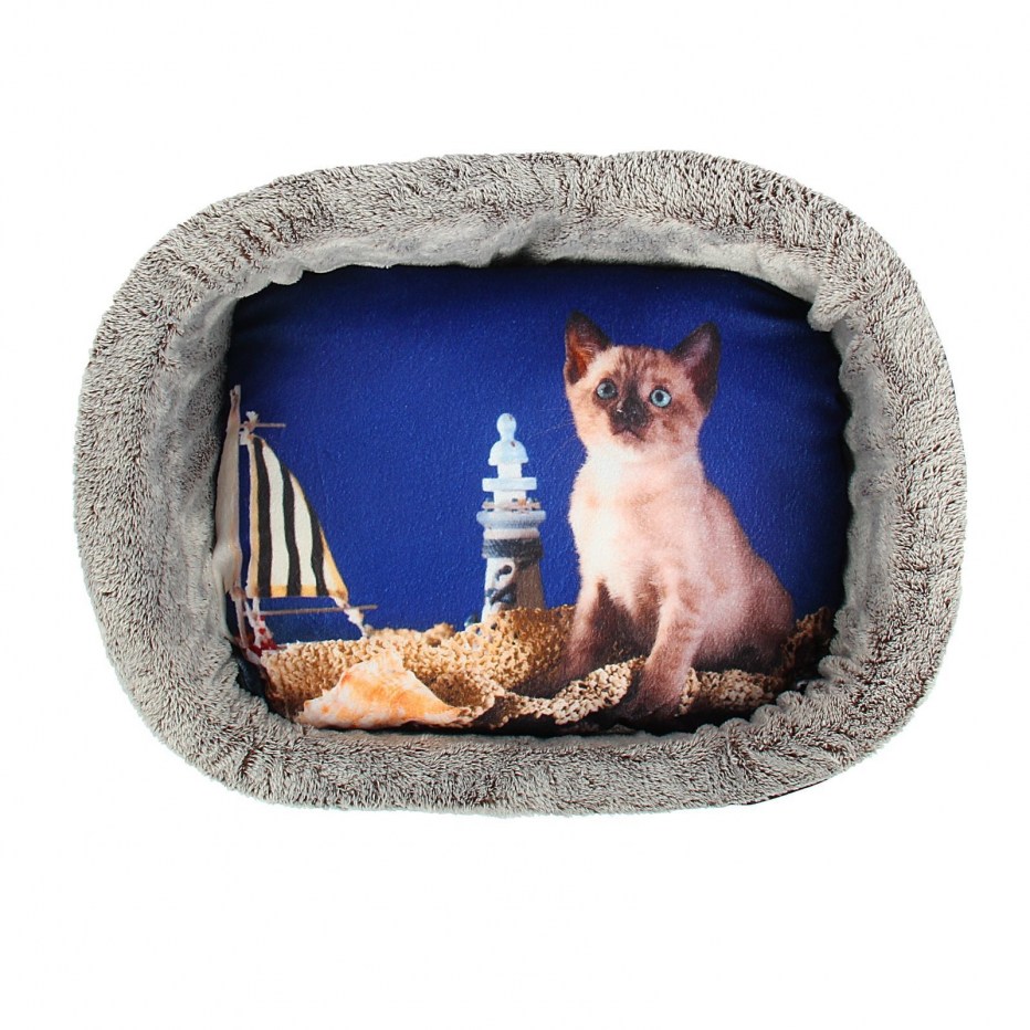 Кошачий комплекс для Мейн куна