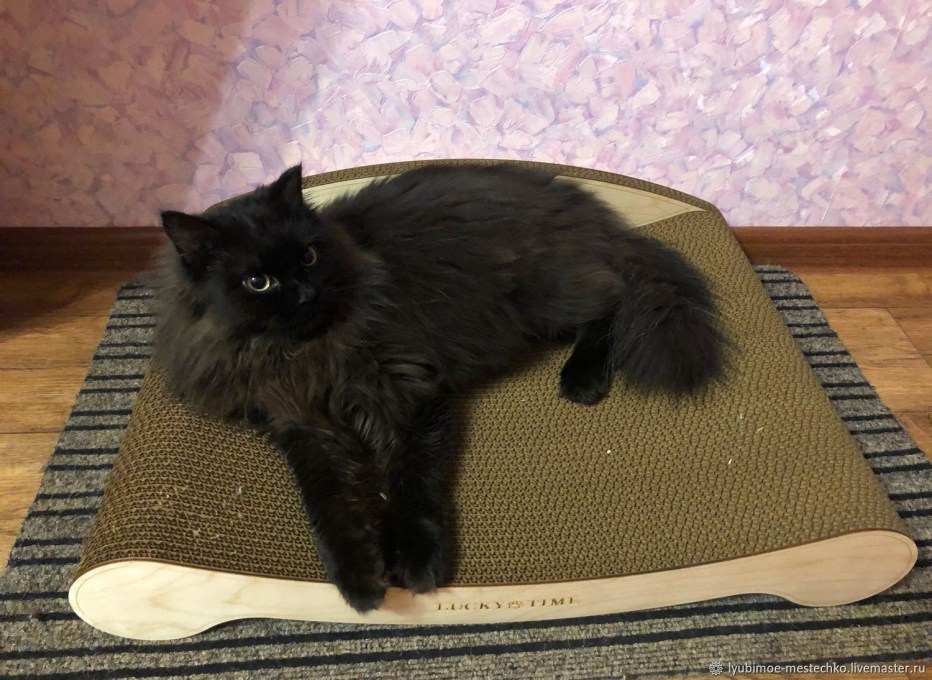 Лестница для кошек