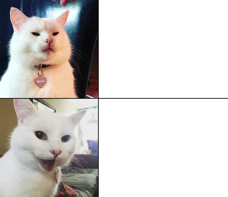 Кошка белая