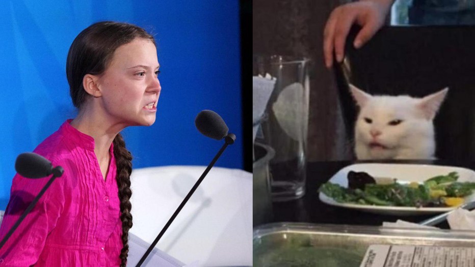 Страшный белый кот