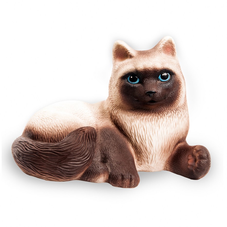 Кошка сиамка огонек