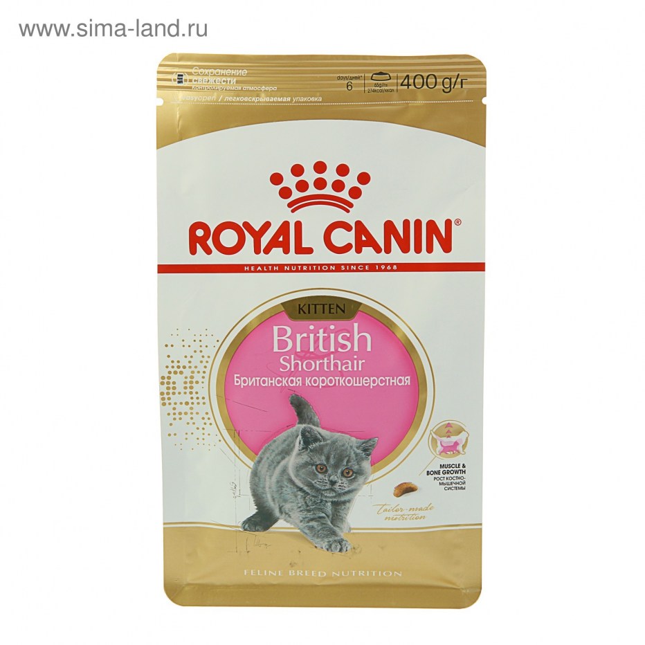 Паштет для котят