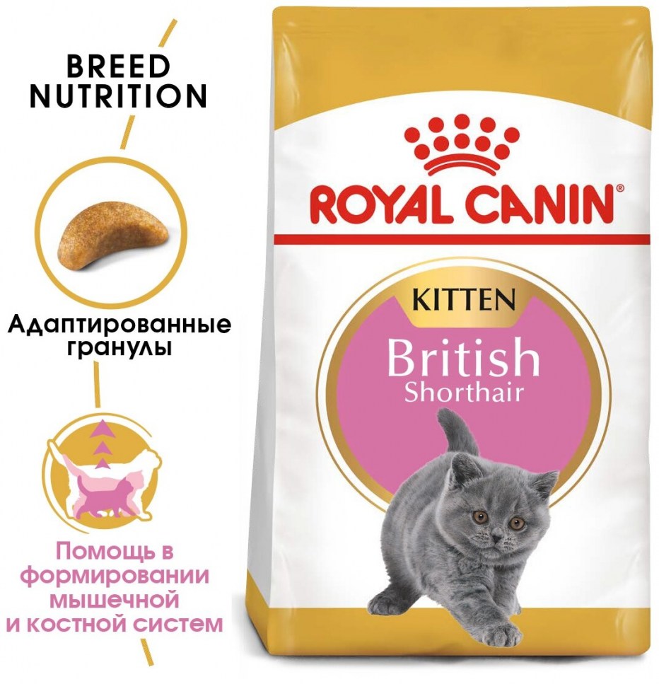 Роял Канин для кошек британцев короткошерстных