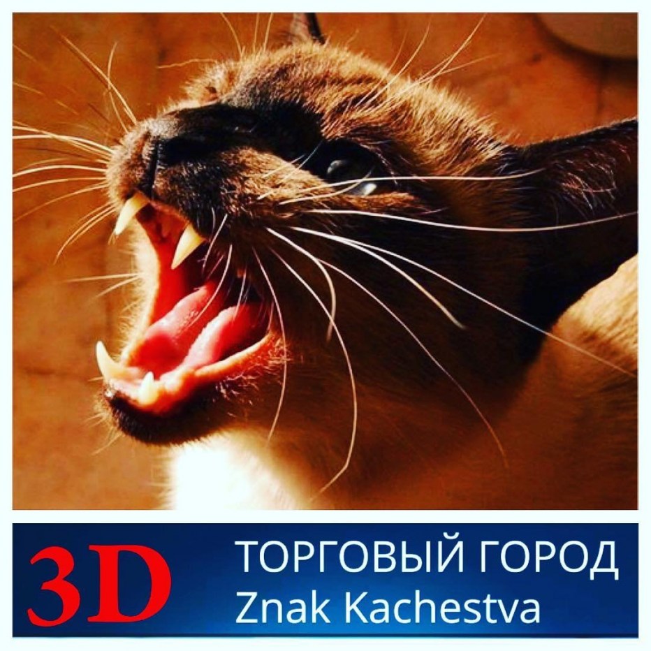 Кот мяукает