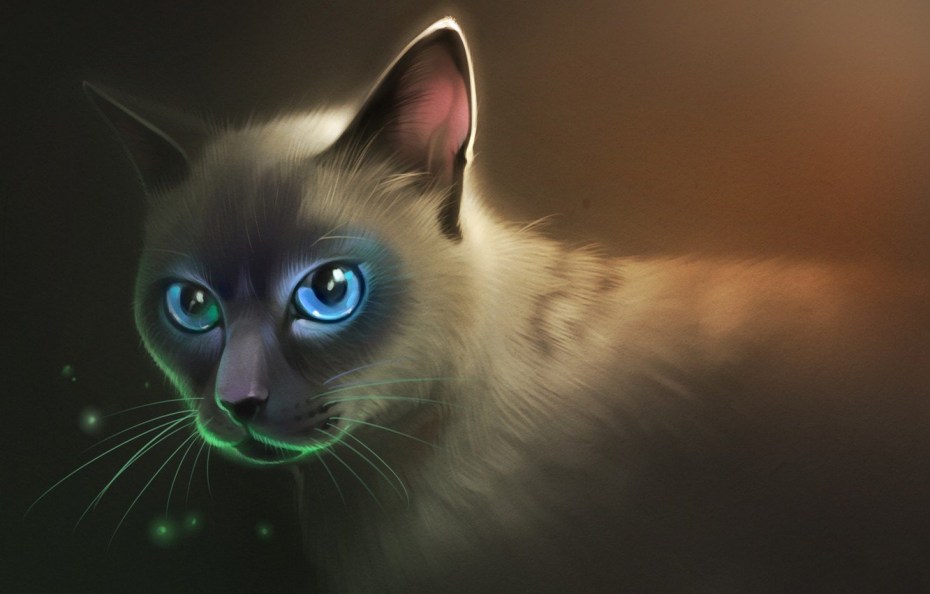 Кот с голубыми глазами