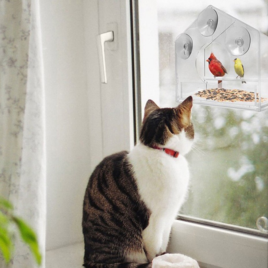 Котик на подоконнике