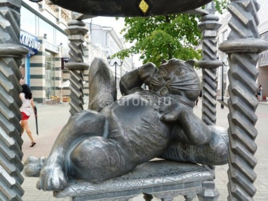 Казанский кот на Баумана