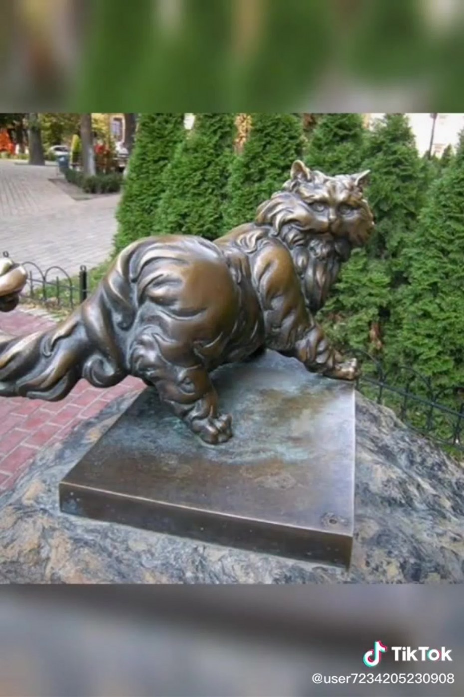 Кот в Казани на улице Баумана