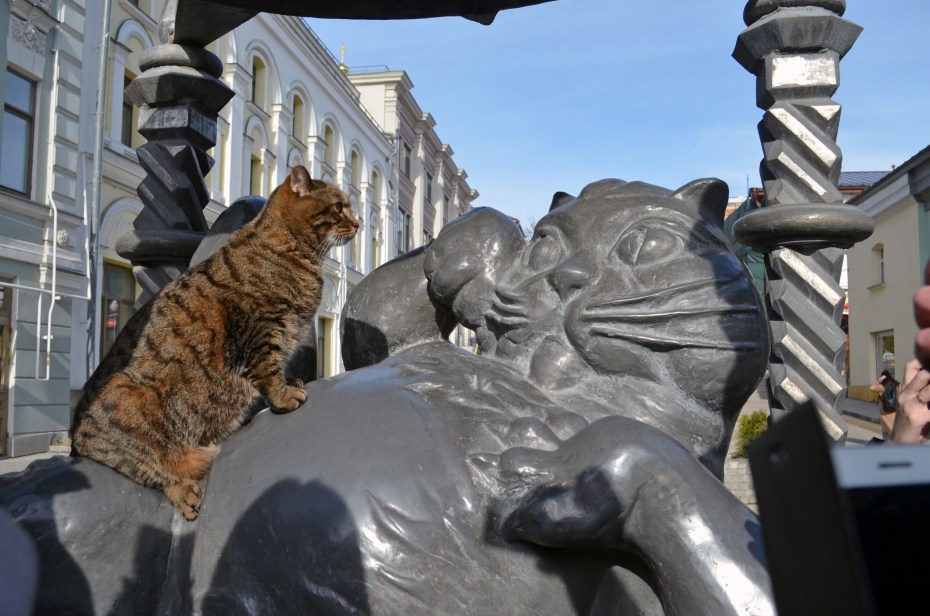 Символ Казани кот Казанский