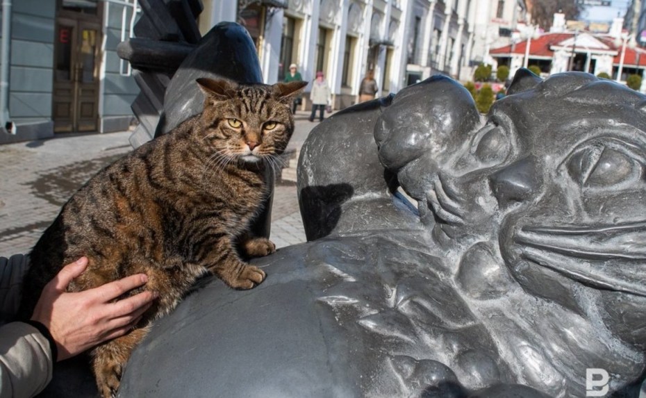 Памятник коту Алабрысу в Казани