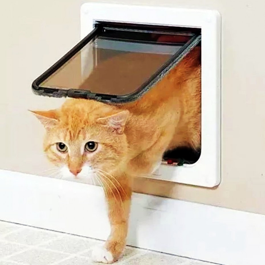Дверь для котиков