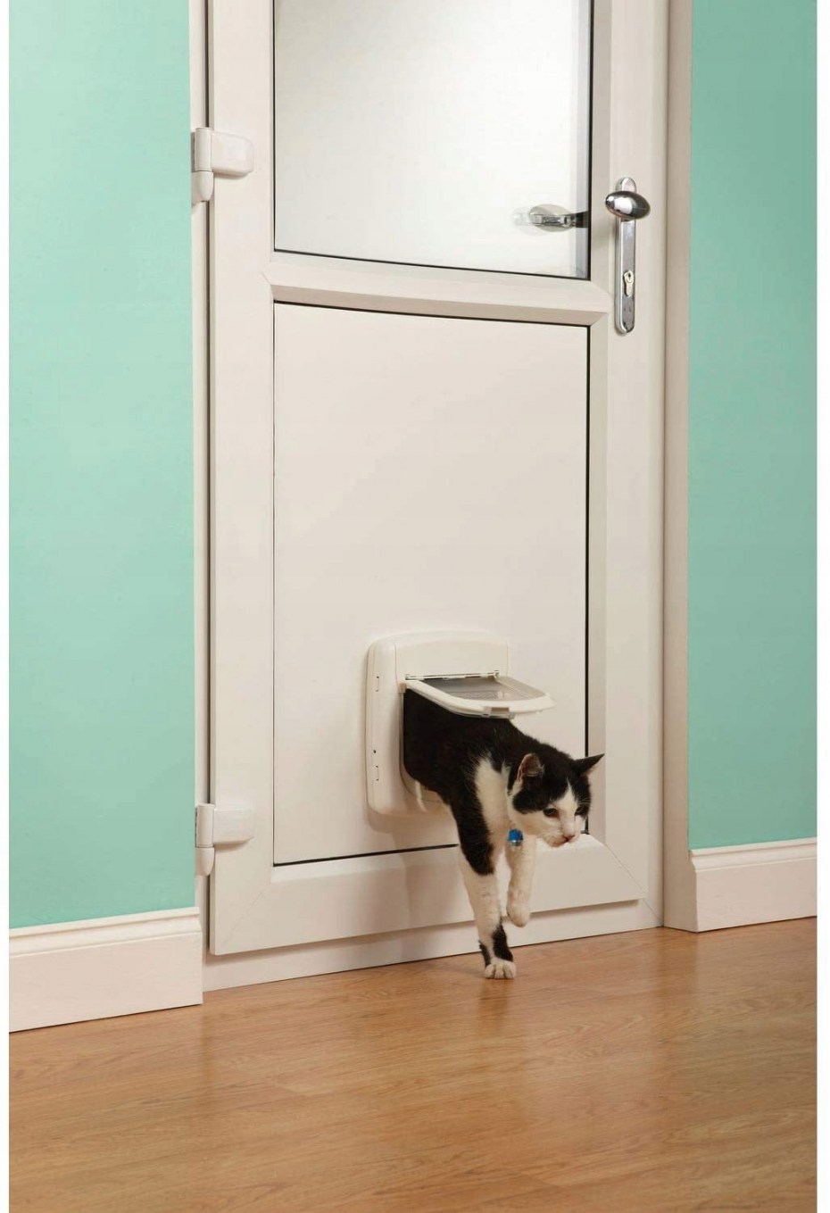 Petsafe Staywell Deluxe
