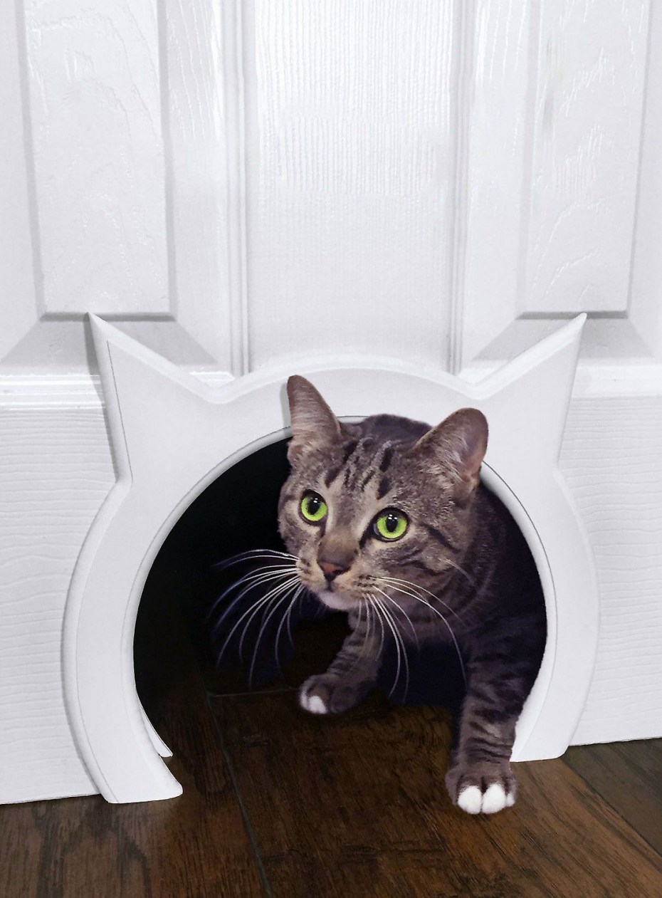 Дверца для кота