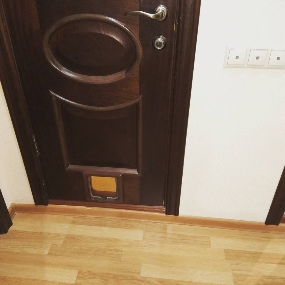 Дверь в туалет с отверстием для кота
