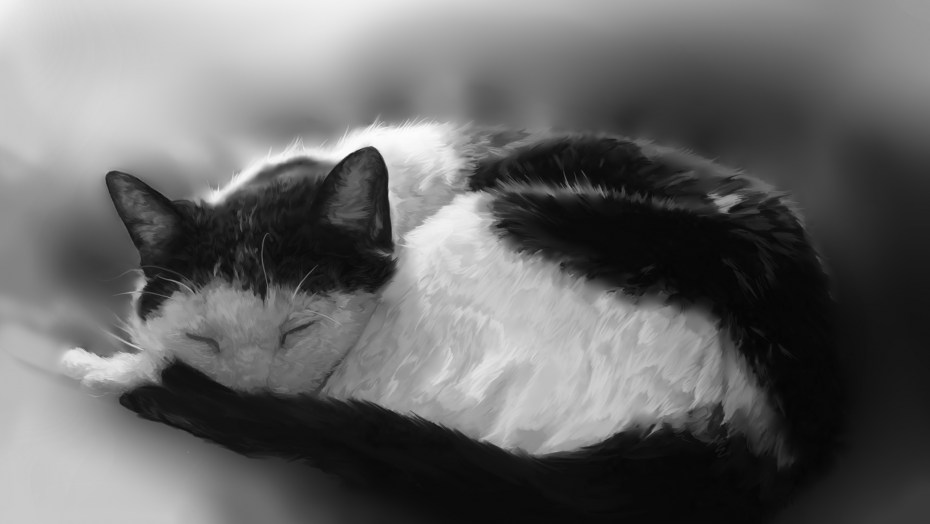 Черная кошка на диване