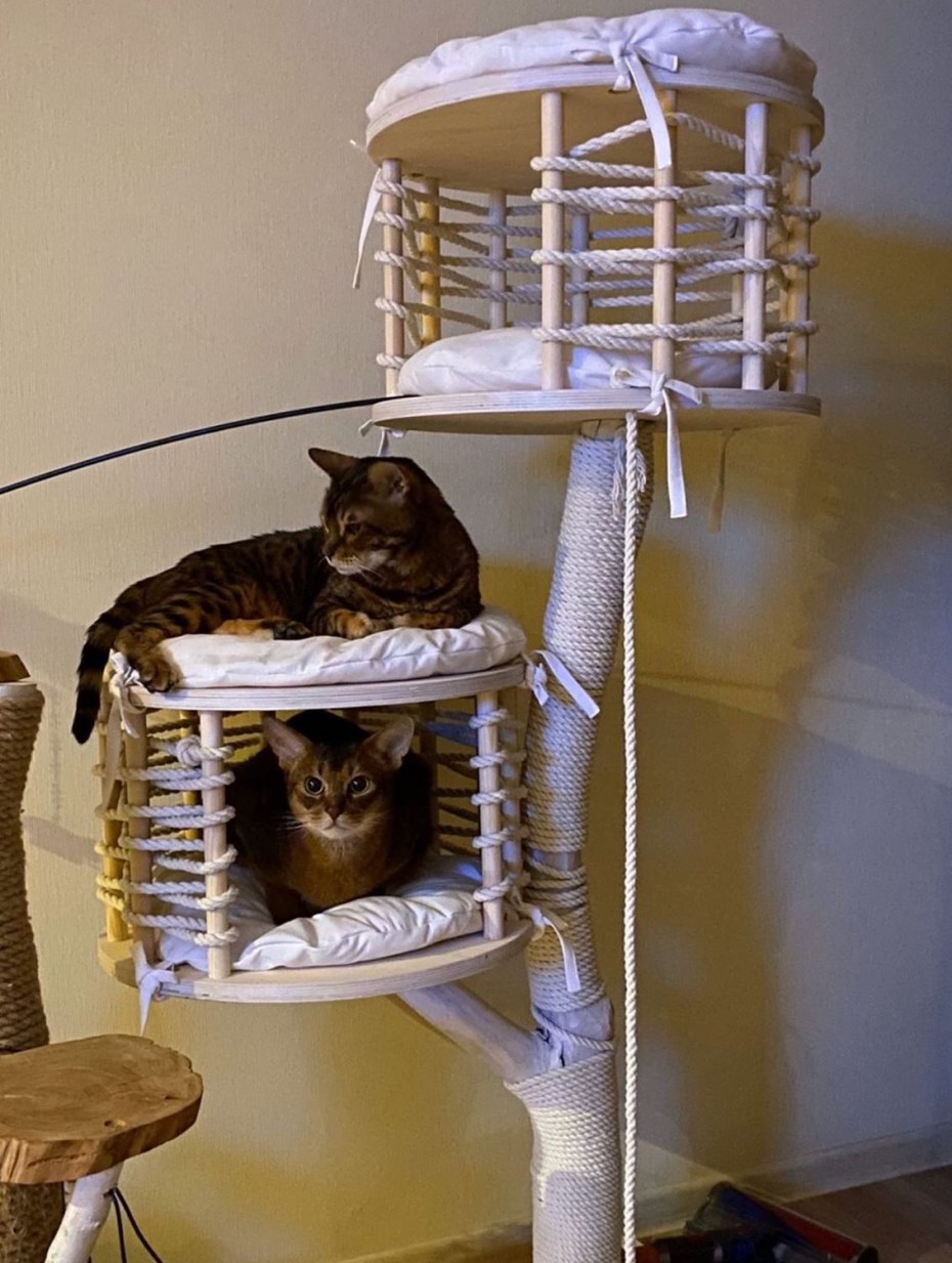Catwood для кошек
