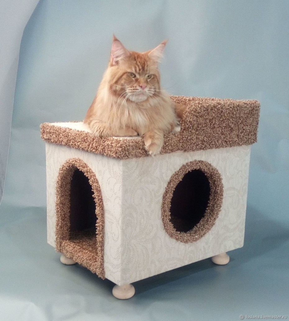 Кошачий домик