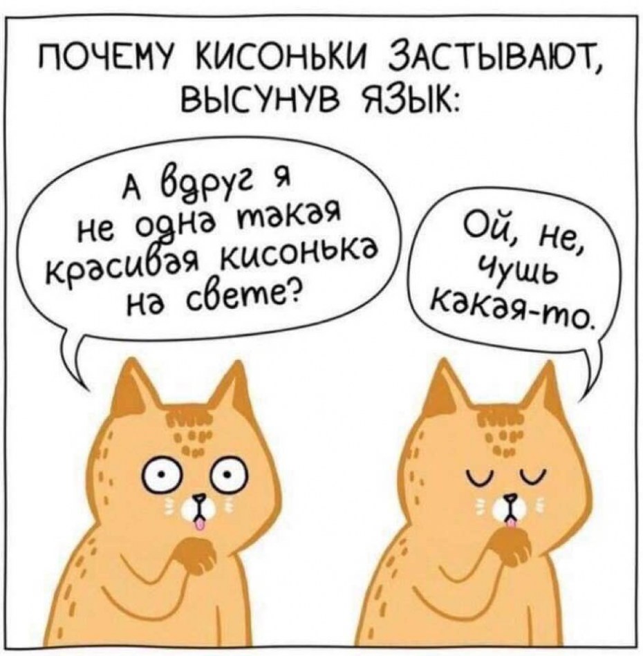 Комиксы коты захватят мир