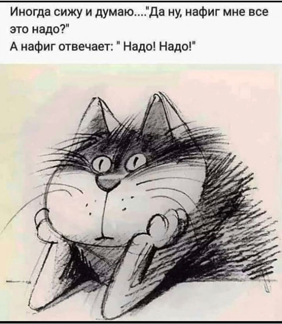Прикольные фразы с котами