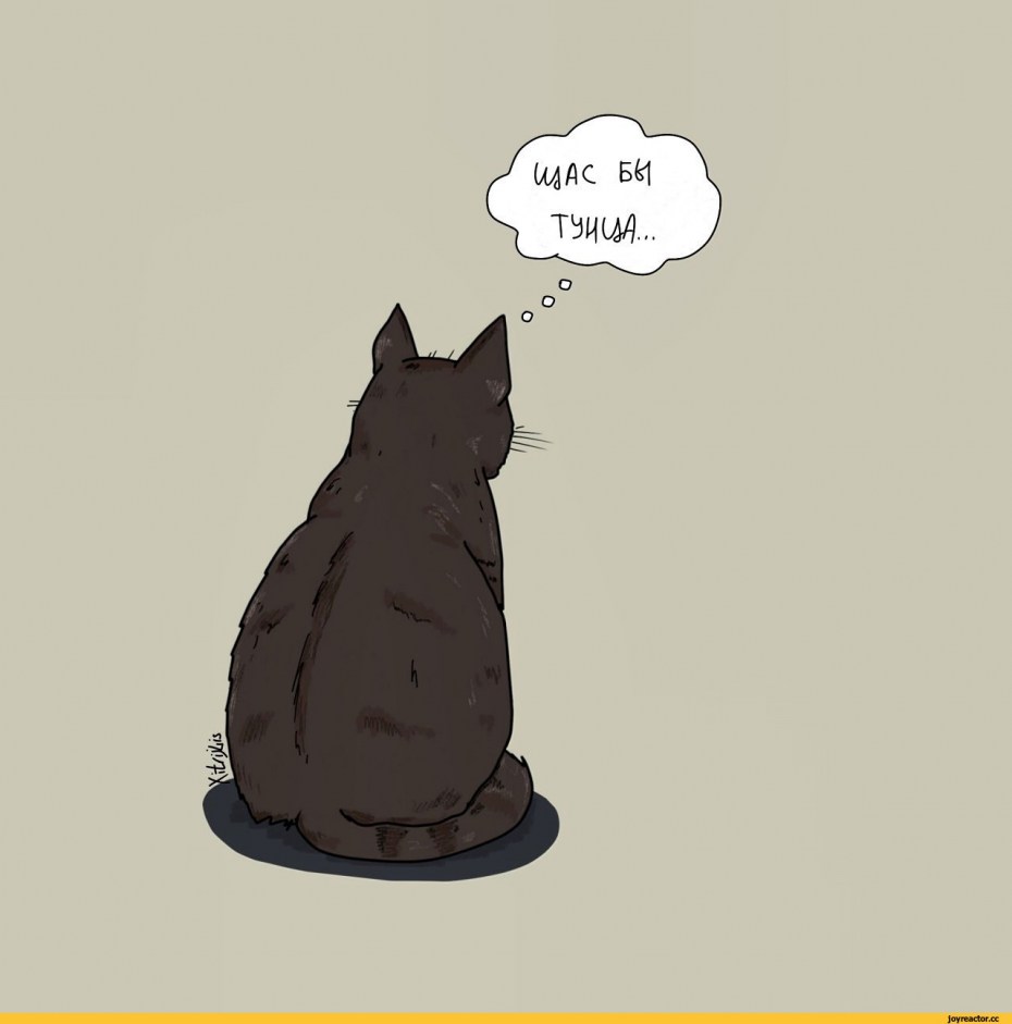 Смешные мысли кота