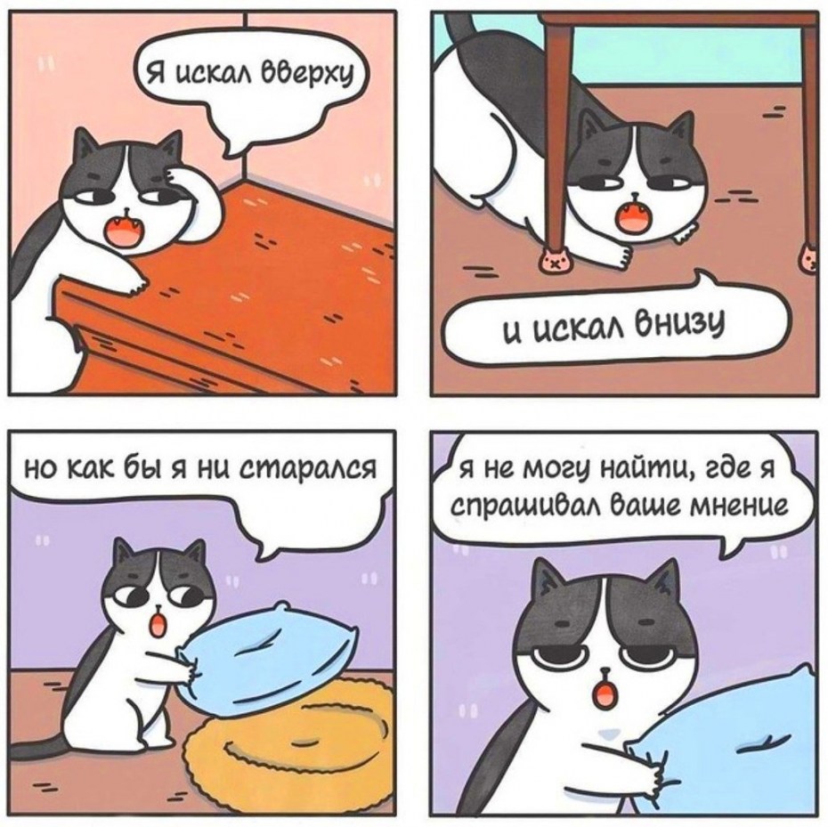 Кот на случай важных переговоров
