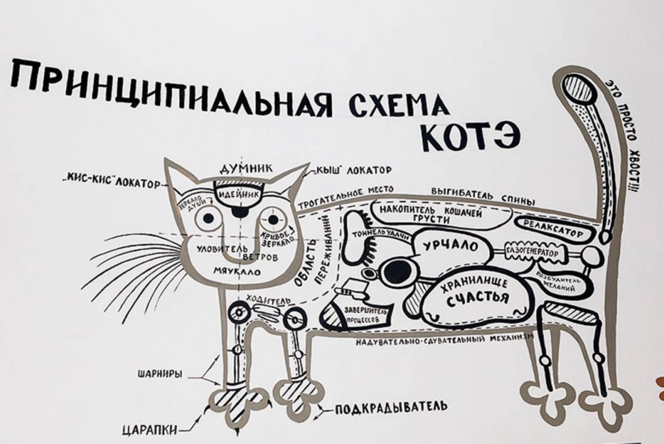 Схема котэ