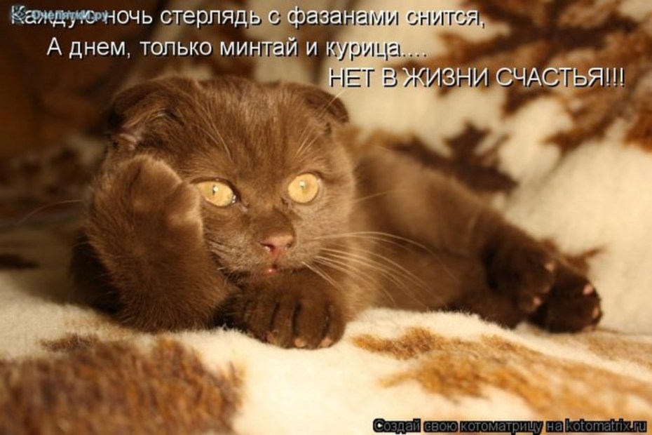 Столько дел столько дел
