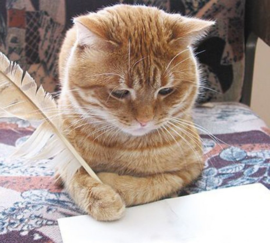 Кот поэт