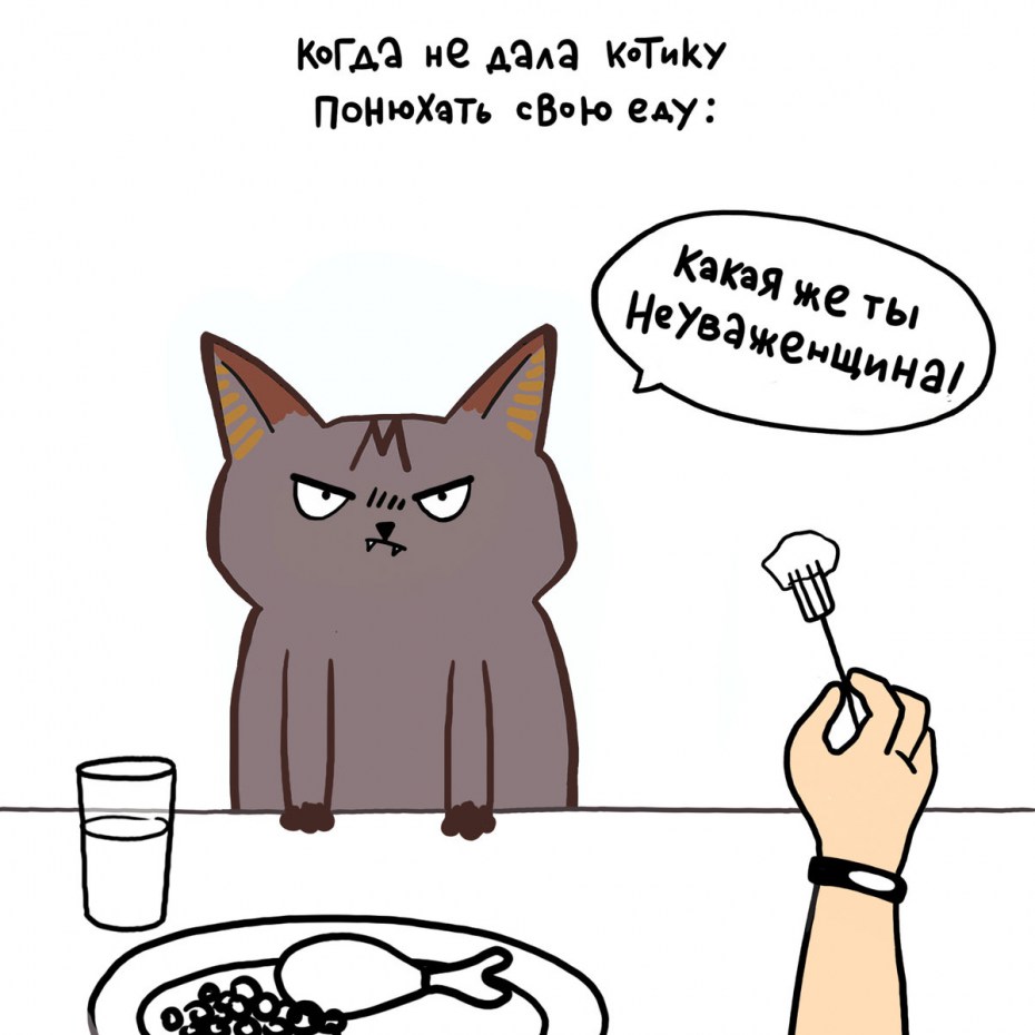 Лакшери Котакшери комиксы