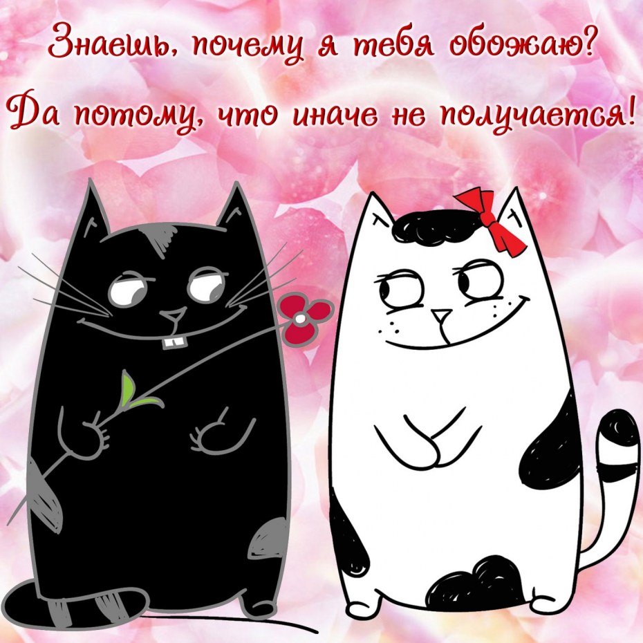 Открытки с котиками любимому