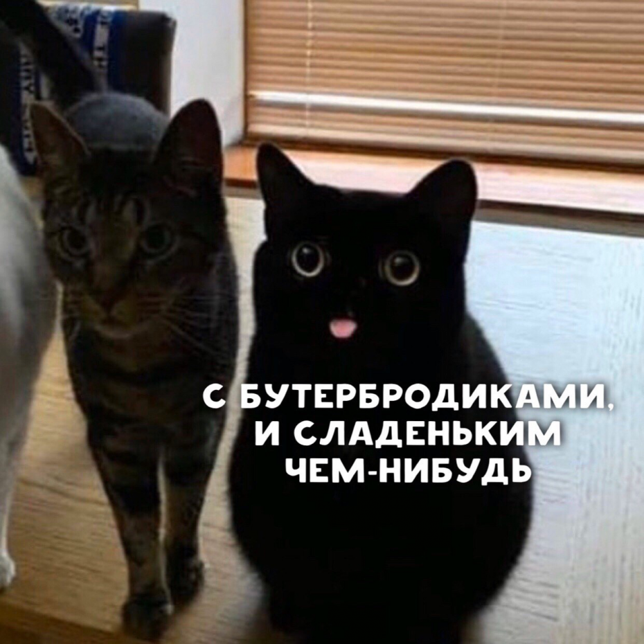 Что происходит у меня в голове