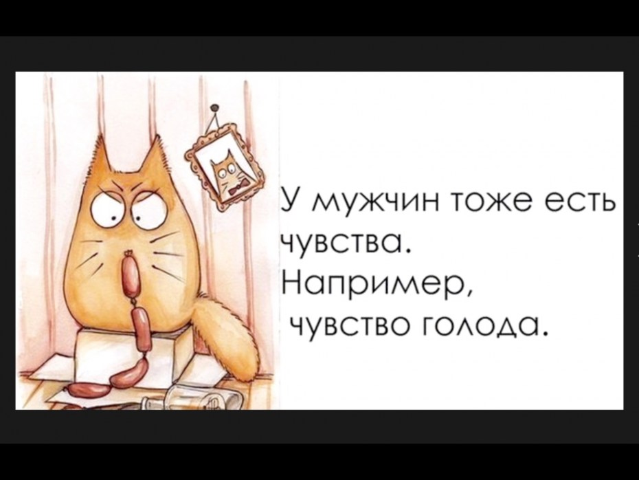 Цитаты приколы