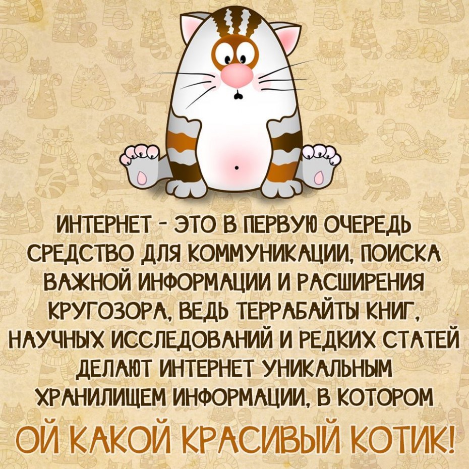 Мысли котов юмор