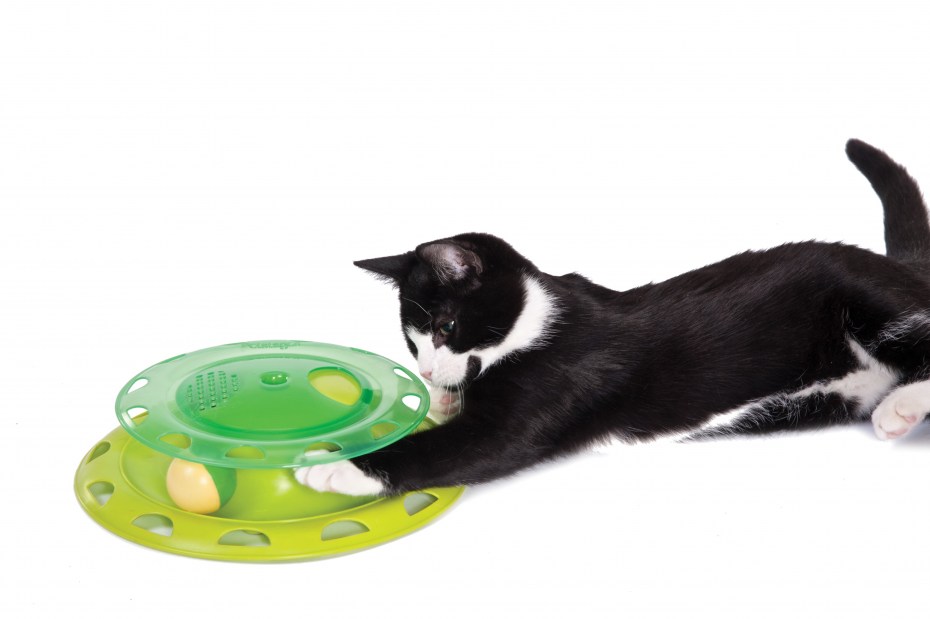 Игрушка для кошек PETSTAGES трек с контейнером для кошачьей мяты