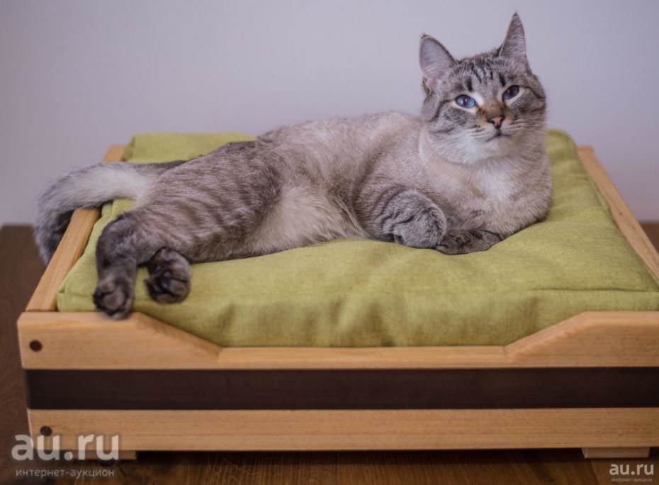 Деревянная лежанка для кошки